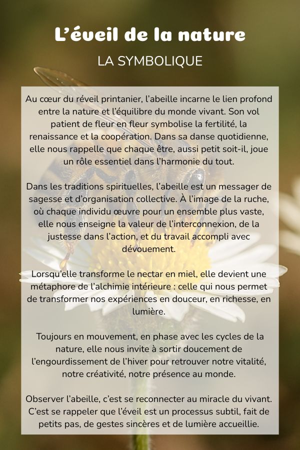 Symbolique éveil de la nature plante coussin bolster yoga meditation relaxation confort