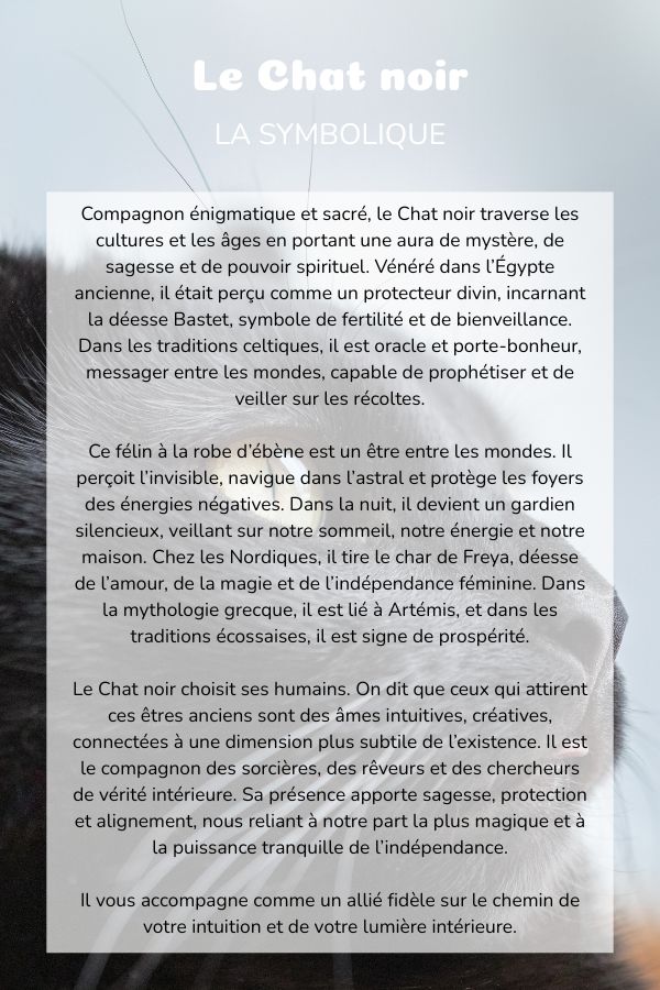 Symbolique Chat noir plante coussin bolster yoga meditation relaxation confort