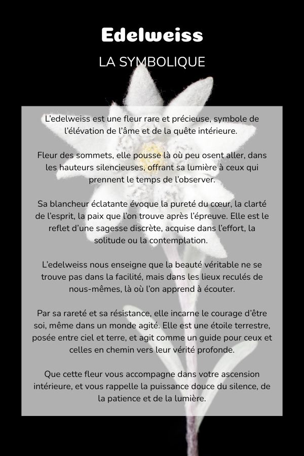 Symbolique Edelweiss plante coussin bolster yoga meditation relaxation confort