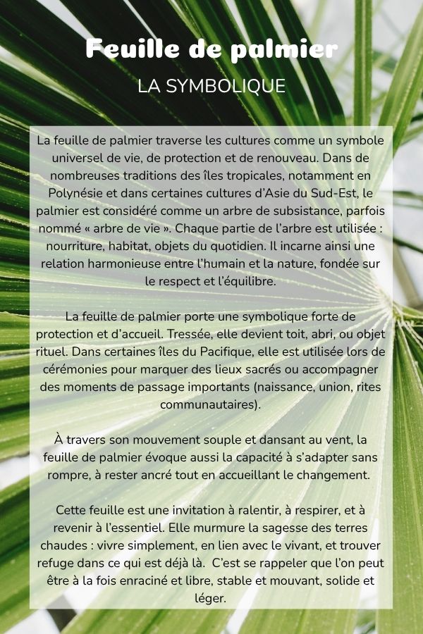 Symbolique aralia du Japon plante coussin bolster yoga meditation relaxation confort