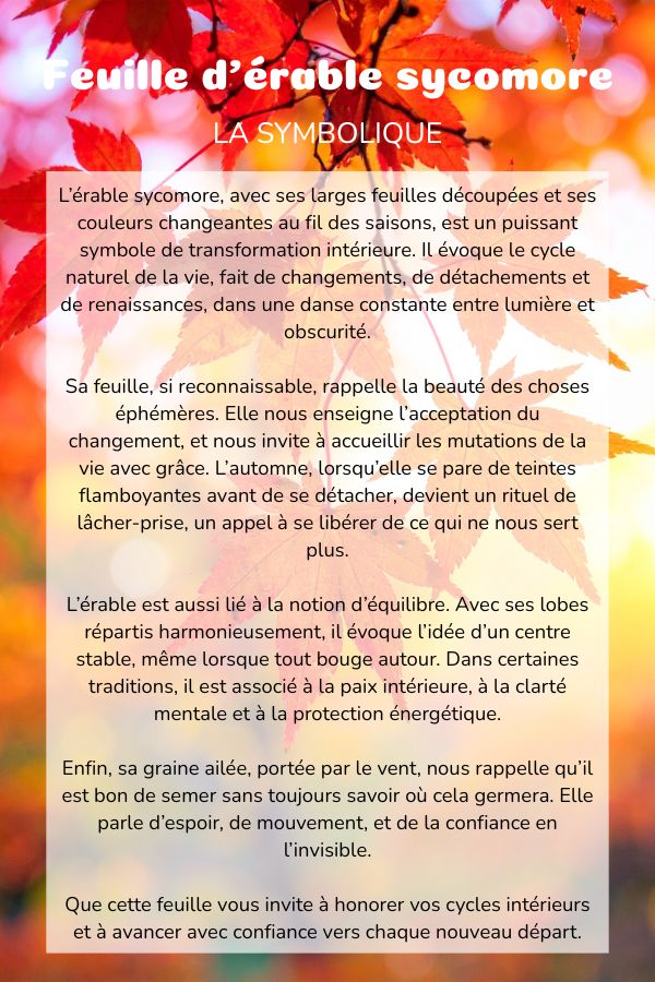 Symbolique érable plante coussin bolster yoga meditation relaxation confort