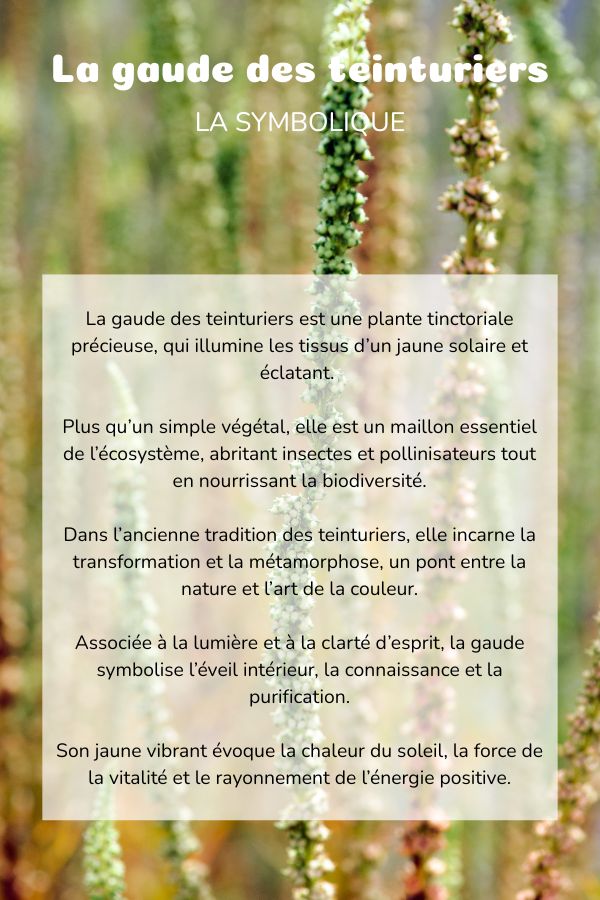 Symbolique réséda plante coussin bolster yoga meditation relaxation confort