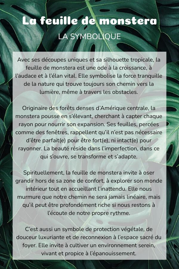 Symbolique feuille de monstera plante coussin bolster yoga meditation relaxation confort