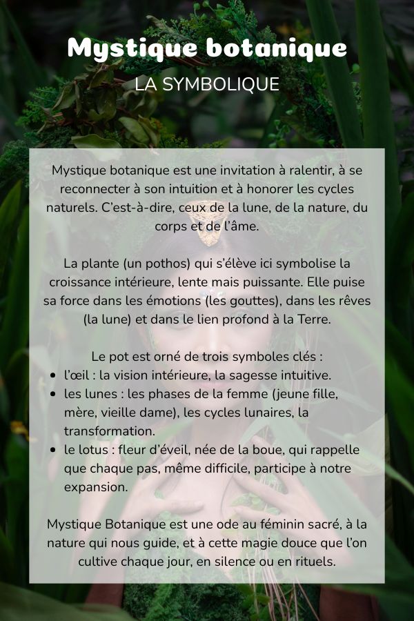 Symbolique plante coussin bolster yoga meditation relaxation confort