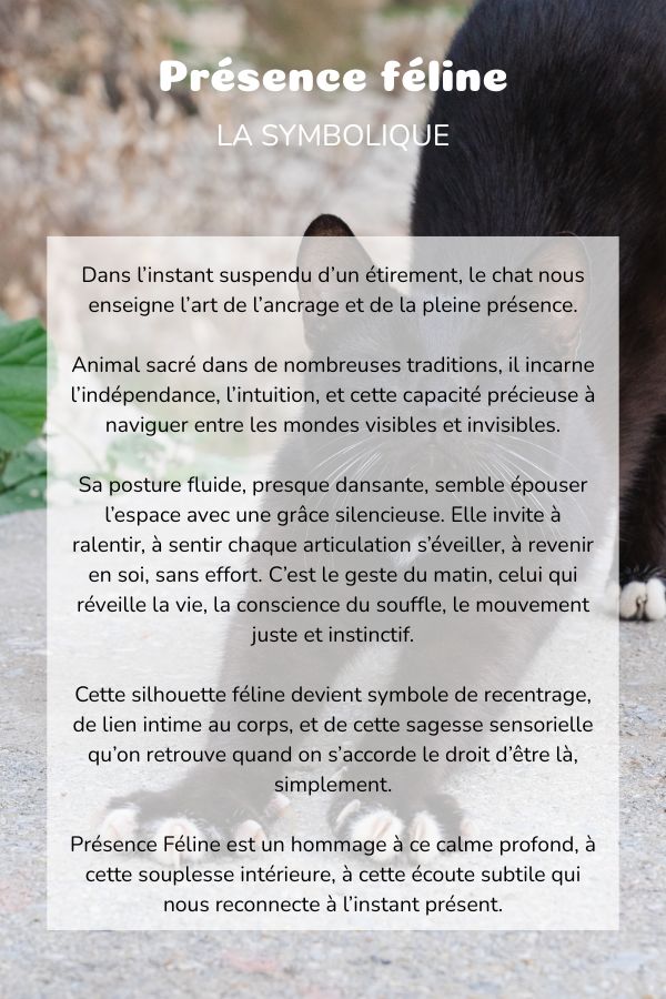 Symbolique chat plante coussin bolster yoga meditation relaxation confort