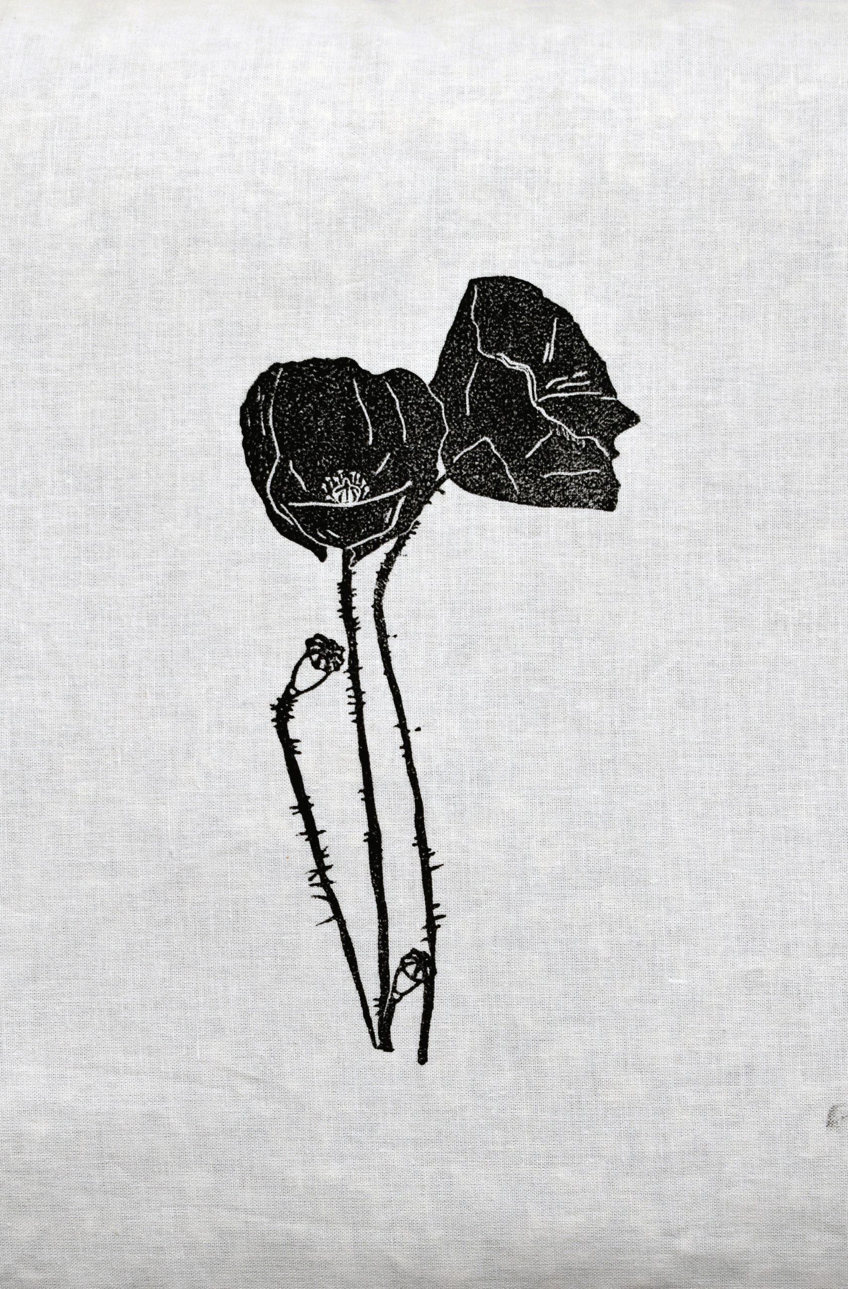 Oreiller épeautre bio 60x40 – Oreiller cervical naturel respirant et ajustable