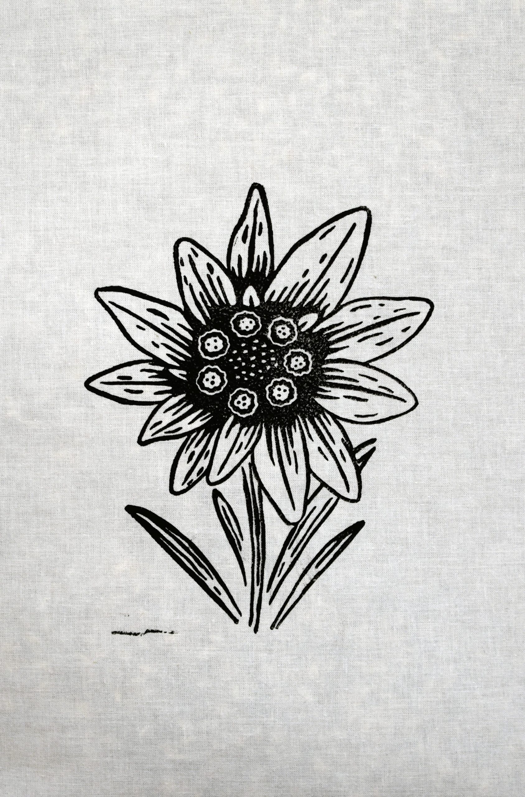 Oreiller épeautre bio 50x50 – Oreiller cervical naturel respirant et ajustable